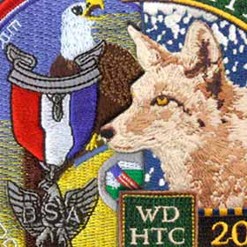 BSA Patches